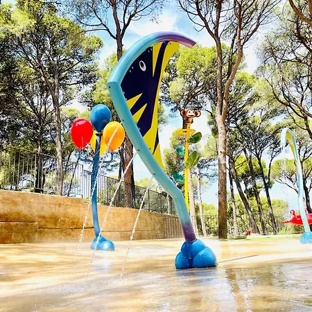 Kamp alanı Interpals Eco Pals