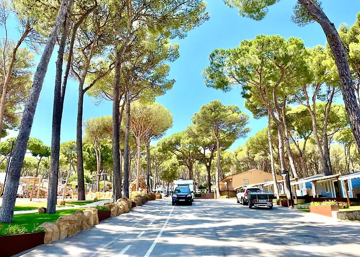 Interpals Eco 4* פאלס