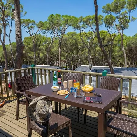 Interpals Eco Campsite 4*