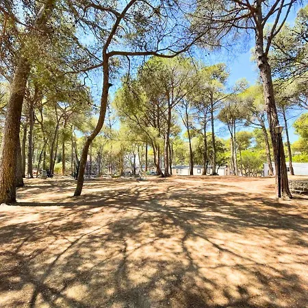 Campsite Interpals Eco 4*
