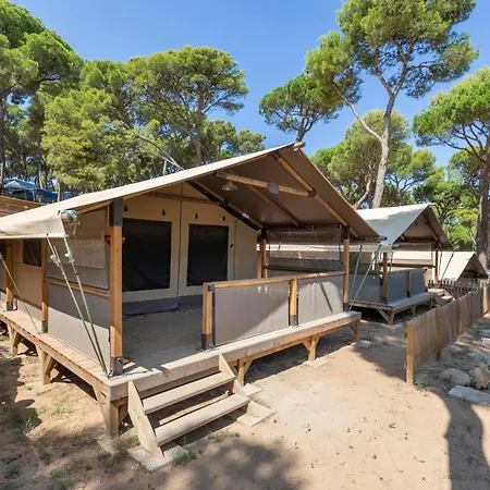 Campsite Interpals Eco