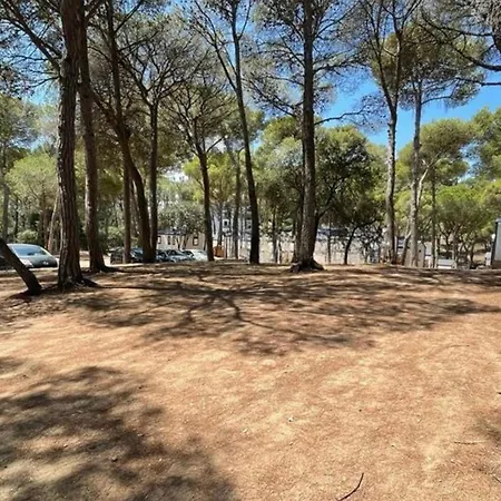 Campsite Interpals Eco