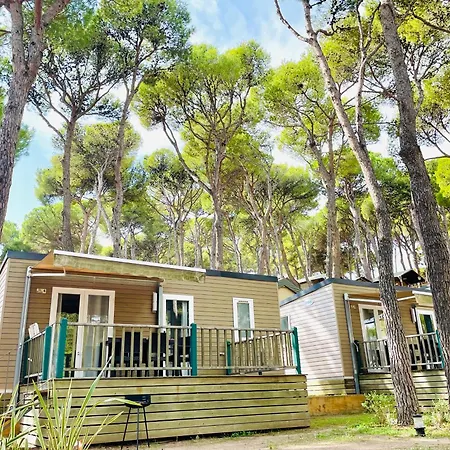 Interpals Eco 팔스