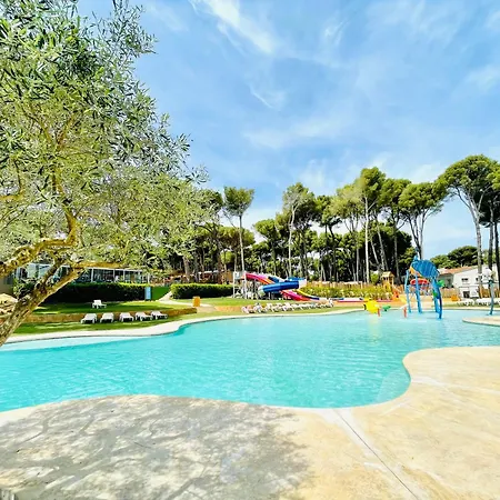 Campsite Interpals Eco 4*