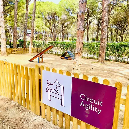 Campsite Interpals Eco 4*