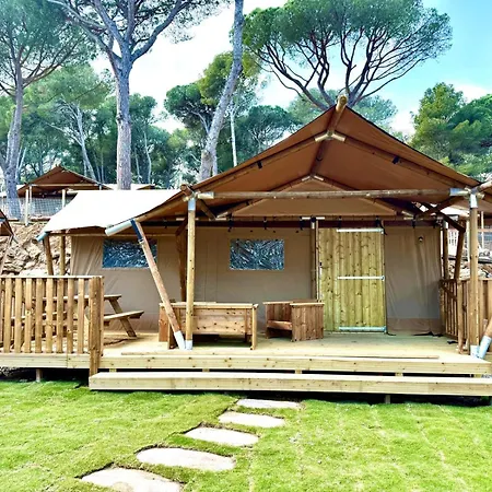 Campsite Interpals Eco Pals