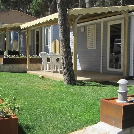 Interpals Eco 4*