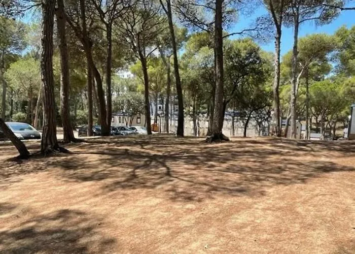 Campingplads Interpals Eco