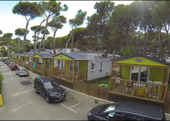 Interpals Eco Campingplads