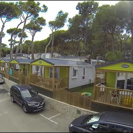 Interpals Eco Camping